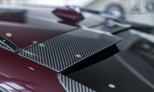 Верхний спойлер Renegade из карбона для BMW X6 G06