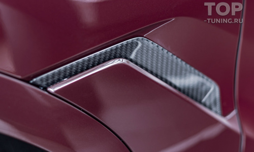 Карбоновые вставки Renegade в передние крылья BMW X6 G06