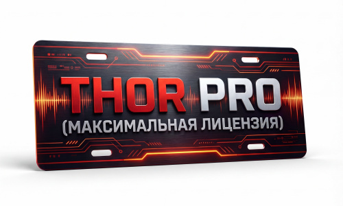 Лицензия THOR PRO (Максимальная)