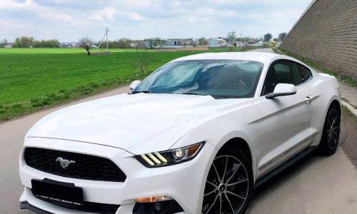 Доводчики дверей для Ford Mustang