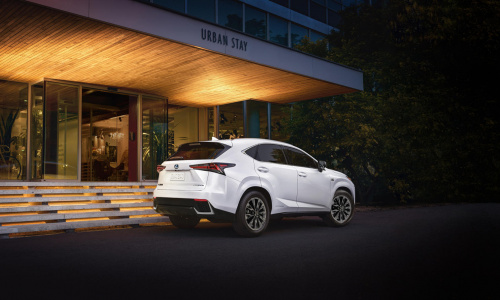 2021 Lexus NX Hybrid получает стильный новый специальный выпуск