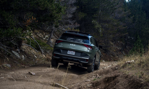 Kia жертвует Sportage X-Pro, чтобы спасти черепах