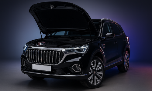 Монтаж сетки-фильтра в решетку радиатора Hongqi HS5