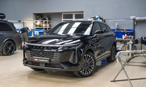 Сетка-фильтр в решетку радиатора Exeed RX