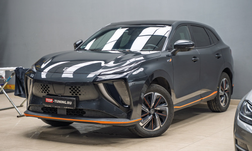 Защитная сетка-фильтр в решетку радиатора и передний бампер Evolute i-SKY