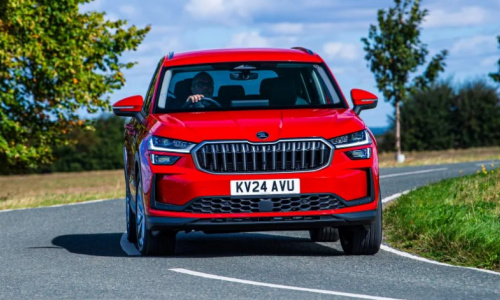 Некоторые китайские автомобильные бренды обречены на исчезновение, предупреждает босс Skoda